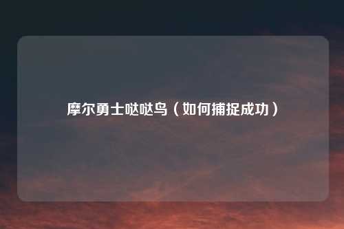 摩尔勇士哒哒鸟（如何捕捉成功）