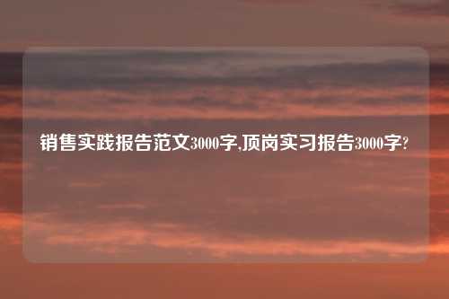 销售实践报告范文3000字,顶岗实习报告3000字?