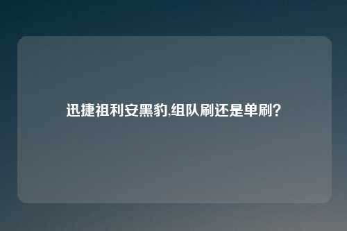 迅捷祖利安黑豹,组队刷还是单刷？