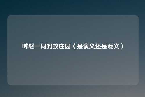 时髦一词蚂蚁庄园（是褒义还是贬义）