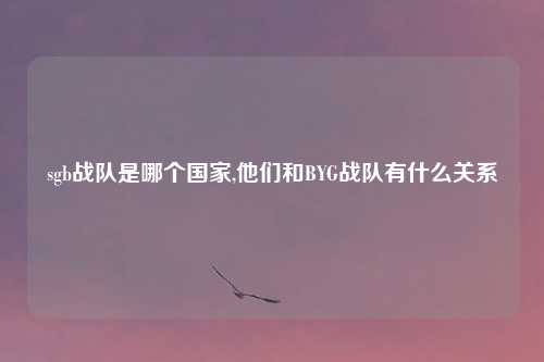 sgb战队是哪个国家,他们和BYG战队有什么关系