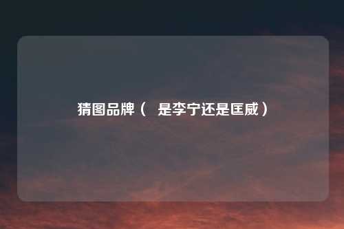 猜图品牌（  是李宁还是匡威）