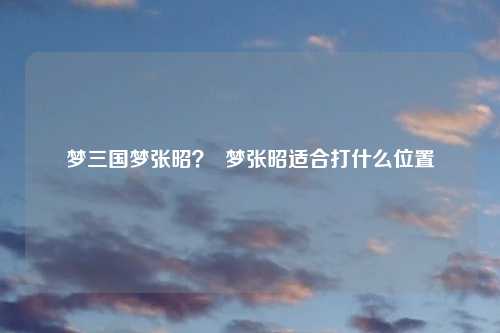 梦三国梦张昭？  梦张昭适合打什么位置