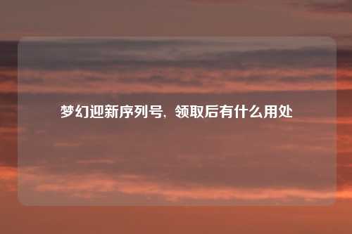 梦幻迎新序列号,  领取后有什么用处