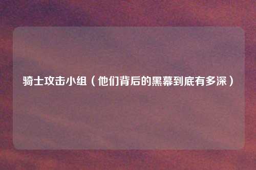 骑士攻击小组（他们背后的黑幕到底有多深）