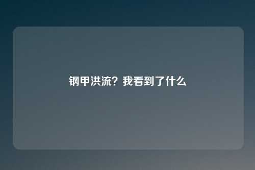 钢甲洪流？我看到了什么
