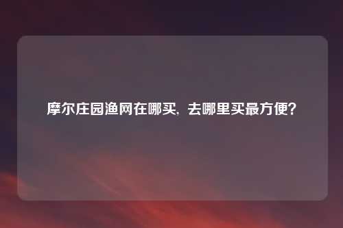 摩尔庄园渔网在哪买,  去哪里买最方便？