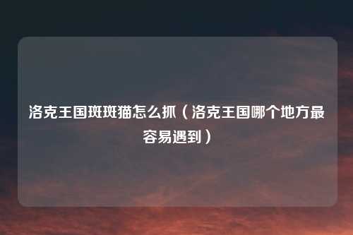 洛克王国斑斑猫怎么抓（洛克王国哪个地方最容易遇到）