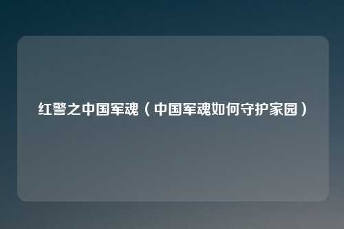 红警之中国军魂（中国军魂如何守护家园）