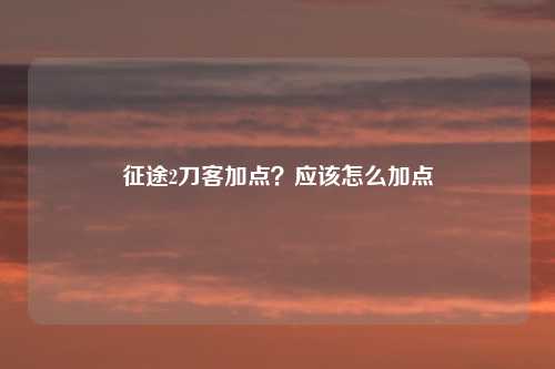 征途2刀客加点？应该怎么加点