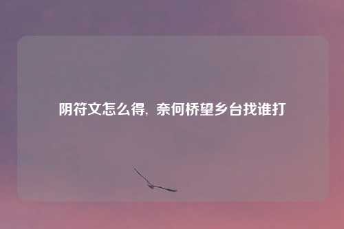 阴符文怎么得,  奈何桥望乡台找谁打