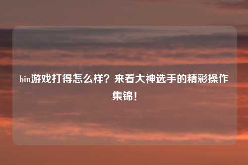 bin游戏打得怎么样？来看大神选手的精彩操作集锦！