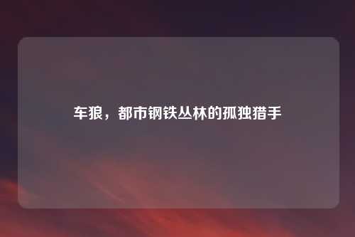 车狼，都市钢铁丛林的孤独猎手