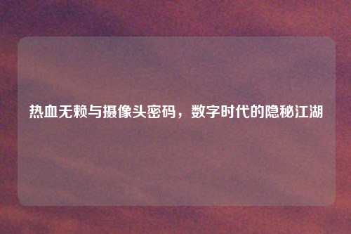 热血无赖与摄像头密码，数字时代的隐秘江湖