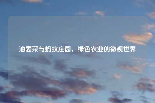油麦菜与蚂蚁庄园，绿色农业的微观世界