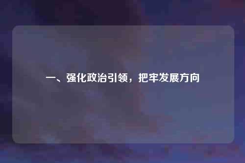 一、强化政治引领，把牢发展方向