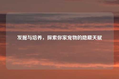 发掘与培养，探索你家宠物的隐藏天赋