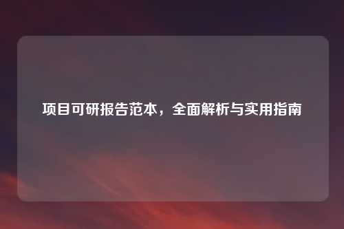 项目可研报告范本，全面解析与实用指南