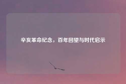 辛亥革命纪念，百年回望与时代启示
