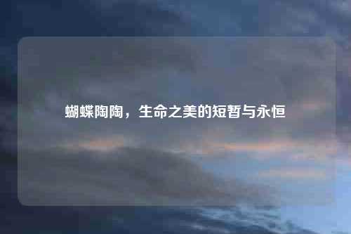 蝴蝶陶陶，生命之美的短暂与永恒