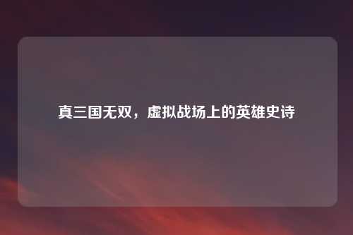 真三国无双，虚拟战场上的英雄史诗