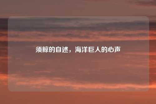 须鲸的自述，海洋巨人的心声
